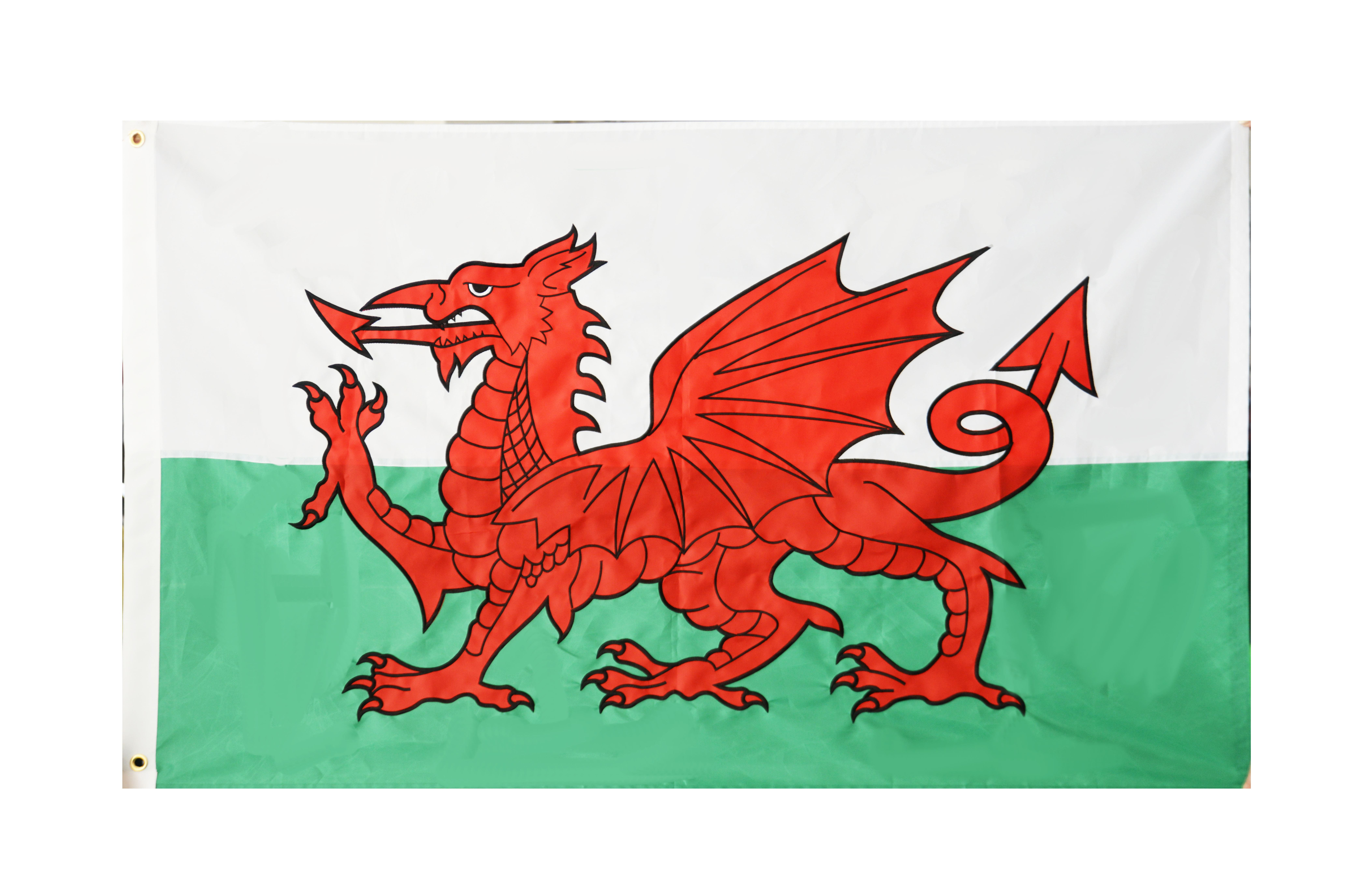 Embroidered Wales Flag 3